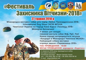 27 мая на аэродроме «Коротич» - фестиваль «День защитника отечества – 2018»